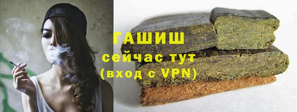 твердый Абаза