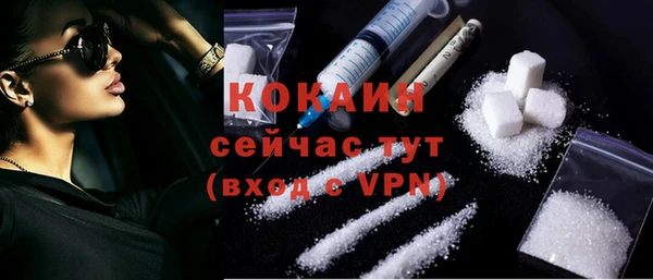 твердый Абаза