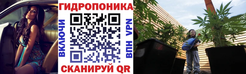 Конопля марихуана  darknet официальный сайт  Нерехта  ссылка на мегу ТОР 